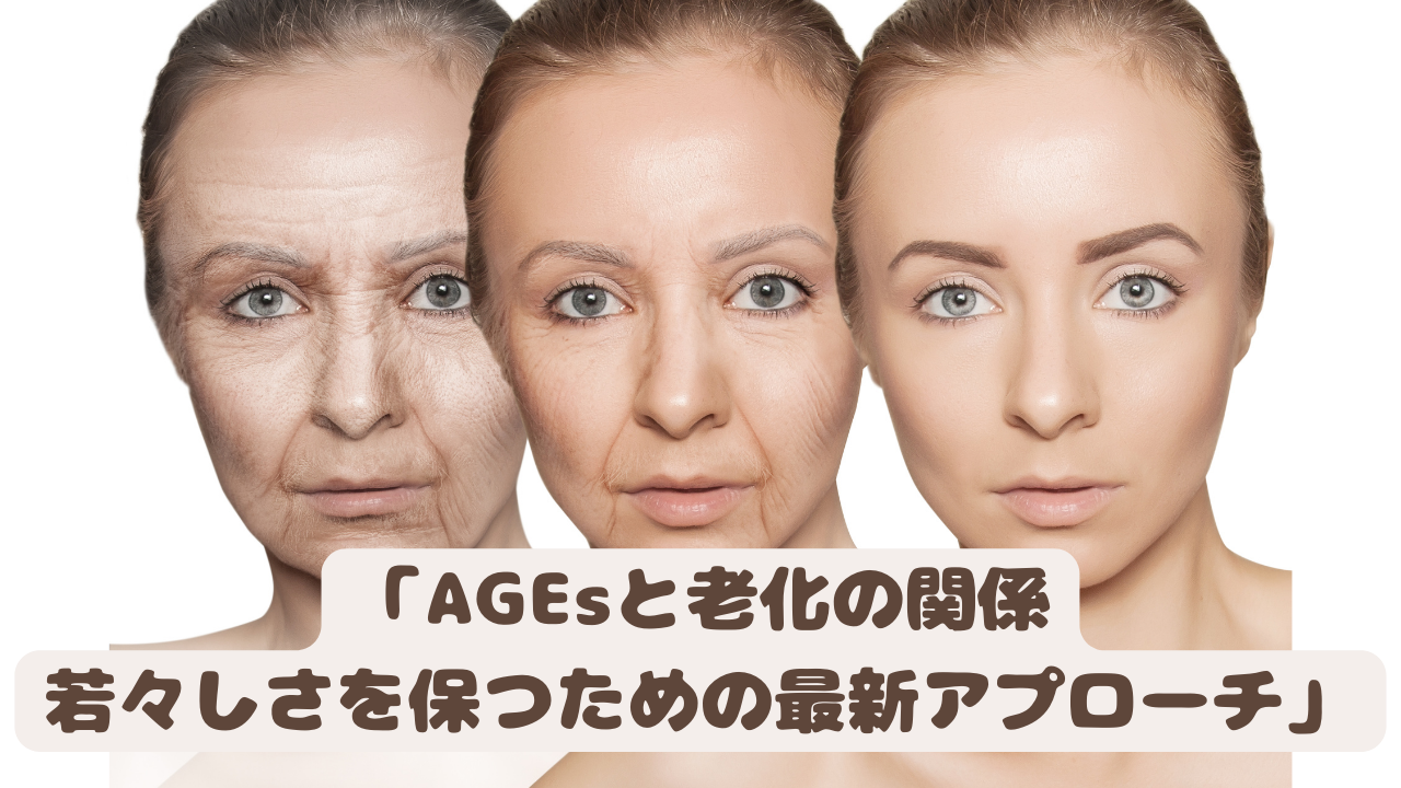 「AGEsと老化の関係：若々しさを保つための最新アプローチ」